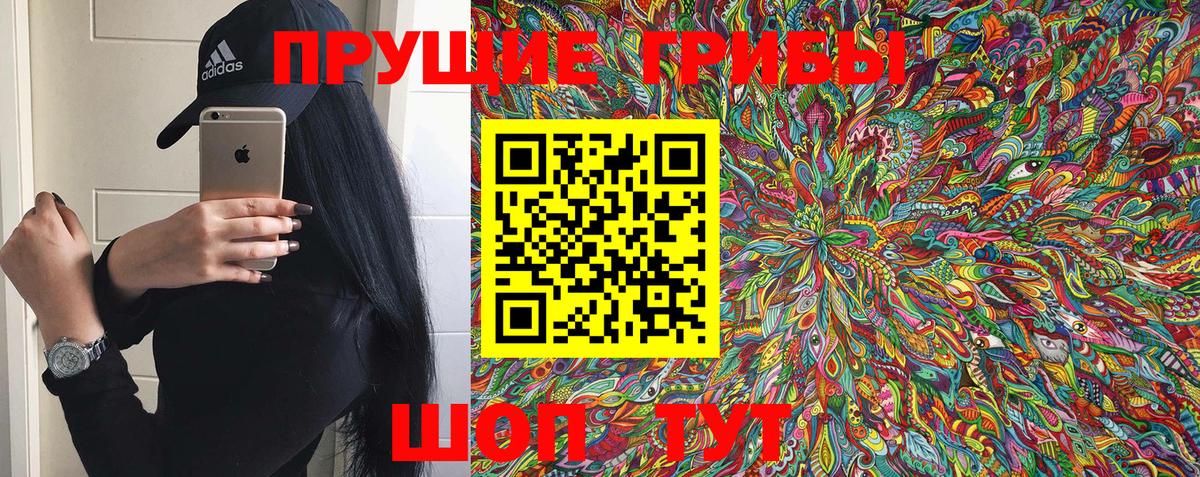 Галлюциногенные грибы Psilocybine cubensis Усинск